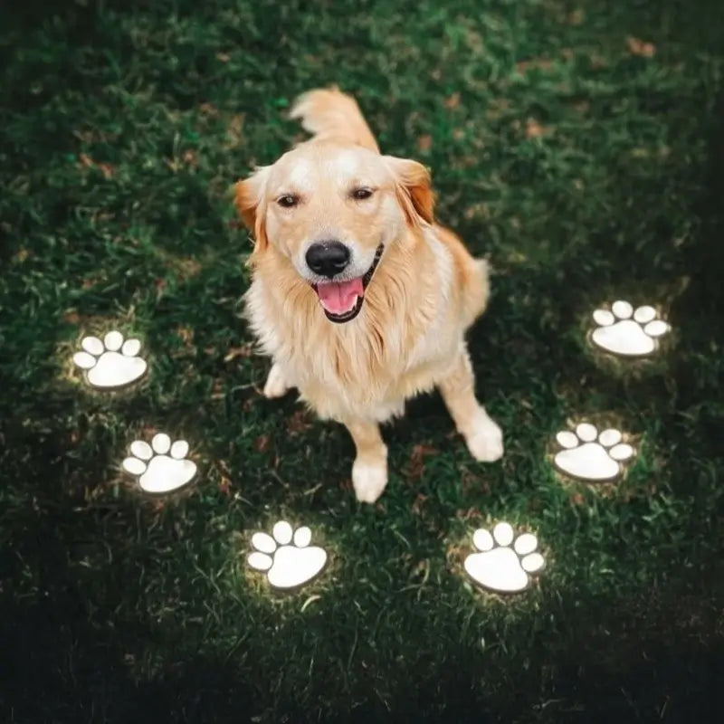 Cute Solar Paw Print Lights – Waterproof Outdoor LED Garden Decor, Pet Paw Pathway Lighting for Lawn, Yard, Balcony & Walkway